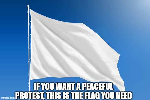 this is the flag of peace, NOT surrender | IF YOU WANT A PEACEFUL PROTEST, THIS IS THE FLAG YOU NEED | image tagged in peace,protests,covid,pandemic | made w/ Imgflip meme maker