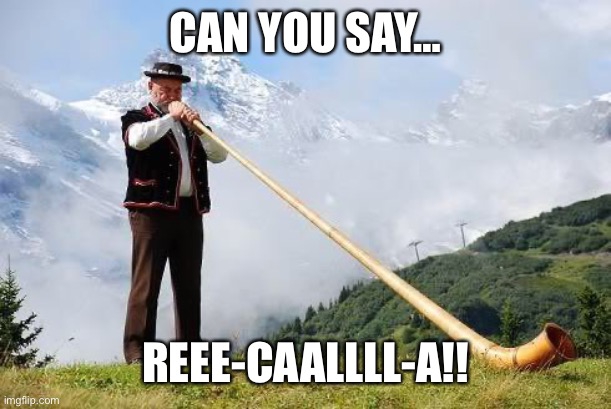 Recall | CAN YOU SAY…; REEE-CAALLLL-A!! | image tagged in politics,politics lol,recall | made w/ Imgflip meme maker