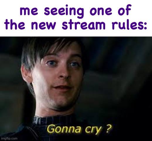 lol | me seeing one of the new stream rules: | image tagged in gonna cry | made w/ Imgflip meme maker