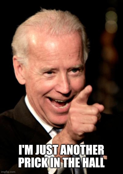 Smilin Biden Meme | I'M JUST ANOTHER PRICK IN THE HALL | image tagged in memes,smilin biden | made w/ Imgflip meme maker