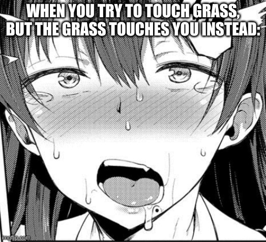 Yes | WHEN YOU TRY TO TOUCH GRASS, BUT THE GRASS TOUCHES YOU INSTEAD: | image tagged in yes | made w/ Imgflip meme maker