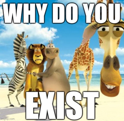 Why do you exist | image tagged in memes | made w/ Imgflip meme maker