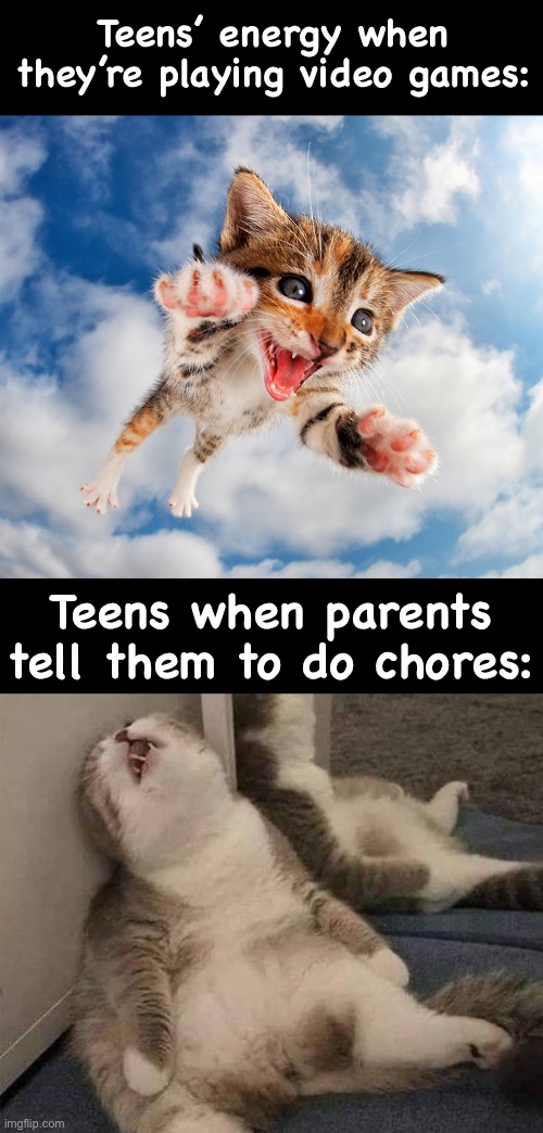 This is so true tho |  Teens’ energy when they’re playing video games:; Teens when parents tell them to do chores: | image tagged in teenagers,video games,gaming,chores,cats,animals | made w/ Imgflip meme maker