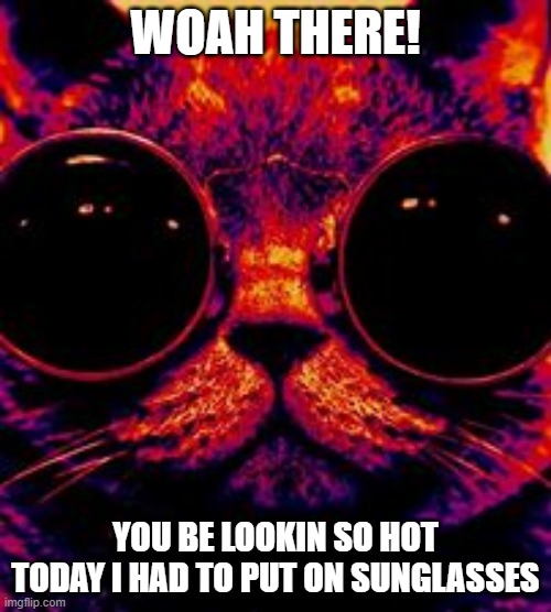 I need another pair of sunglasses | WOAH THERE! YOU BE LOOKIN SO HOT TODAY I HAD TO PUT ON SUNGLASSES | image tagged in hot | made w/ Imgflip meme maker
