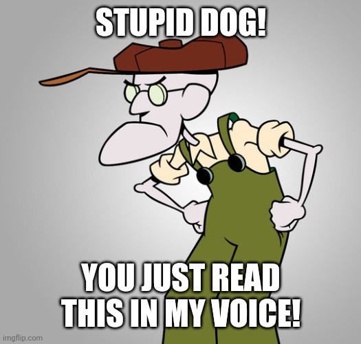 Eustace was a jerk | STUPID DOG! YOU JUST READ THIS IN MY VOICE! | image tagged in stupid dog,eustace,eustace bagge,courage the cowardly dog,courage,childhood | made w/ Imgflip meme maker
