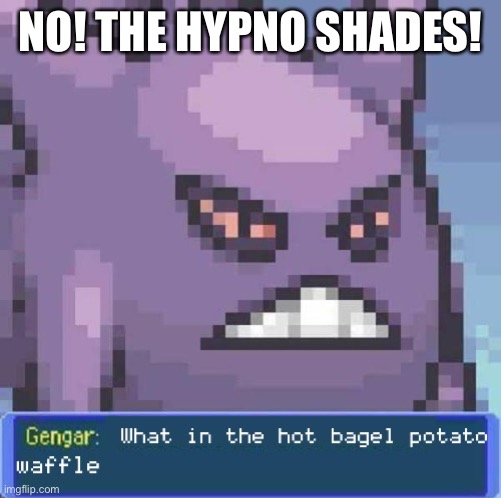 What in the hot bagel potato waffle | NO! THE HYPNO SHADES! | image tagged in what in the hot bagel potato waffle | made w/ Imgflip meme maker
