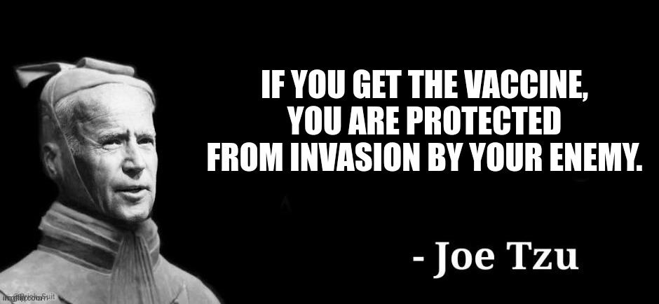 Joe Tzu | IF YOU GET THE VACCINE, YOU ARE PROTECTED FROM INVASION BY YOUR ENEMY. | image tagged in joe tzu | made w/ Imgflip meme maker