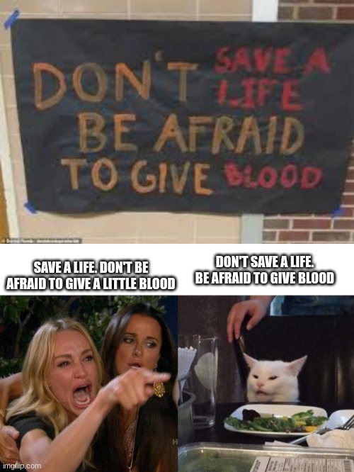 Blood | SAVE A LIFE. DON'T BE AFRAID TO GIVE A LITTLE BLOOD; DON'T SAVE A LIFE. BE AFRAID TO GIVE BLOOD | image tagged in memes,woman yelling at cat | made w/ Imgflip meme maker