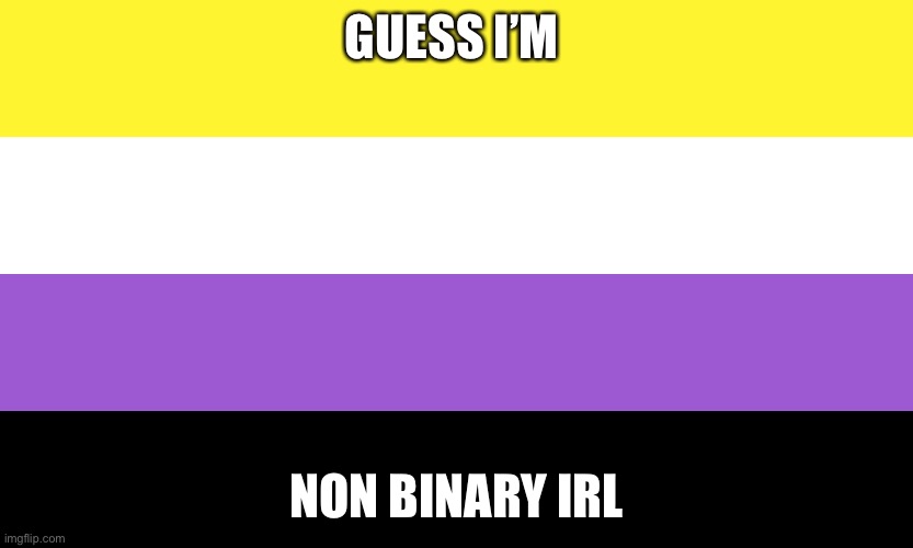 I have no idea anymore I can’t find my gender anymore jdjsijdneksmaoal | GUESS I’M; NON BINARY IRL | image tagged in nonbinary | made w/ Imgflip meme maker