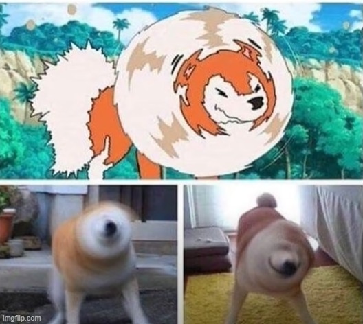 AAAAAH IS SO CUTE | image tagged in lycanroc,doggo | made w/ Imgflip meme maker