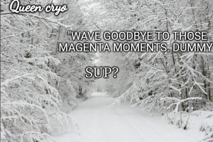 How's it been, buckaroo's? | SUP? | image tagged in the snowy temp of queen cryo | made w/ Imgflip meme maker