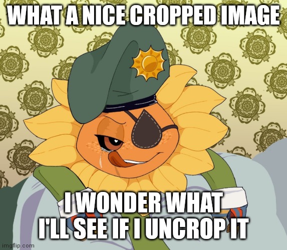 make it nsfw if you want idk | WHAT A NICE CROPPED IMAGE; I WONDER WHAT I'LL SEE IF I UNCROP IT | made w/ Imgflip meme maker