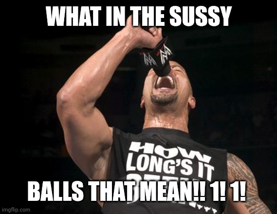 WHAT IN THE SUSSY BALLS THAT MEAN!! 1! 1! | image tagged in the rock finally | made w/ Imgflip meme maker