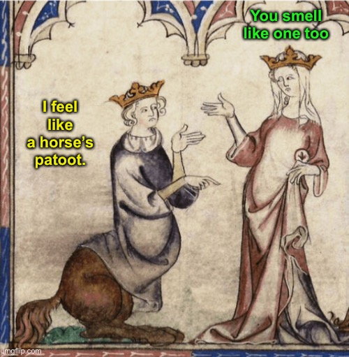Medieval Times | You smell like one too; I feel like a horse’s patoot. | image tagged in funny memes,medieval musings | made w/ Imgflip meme maker