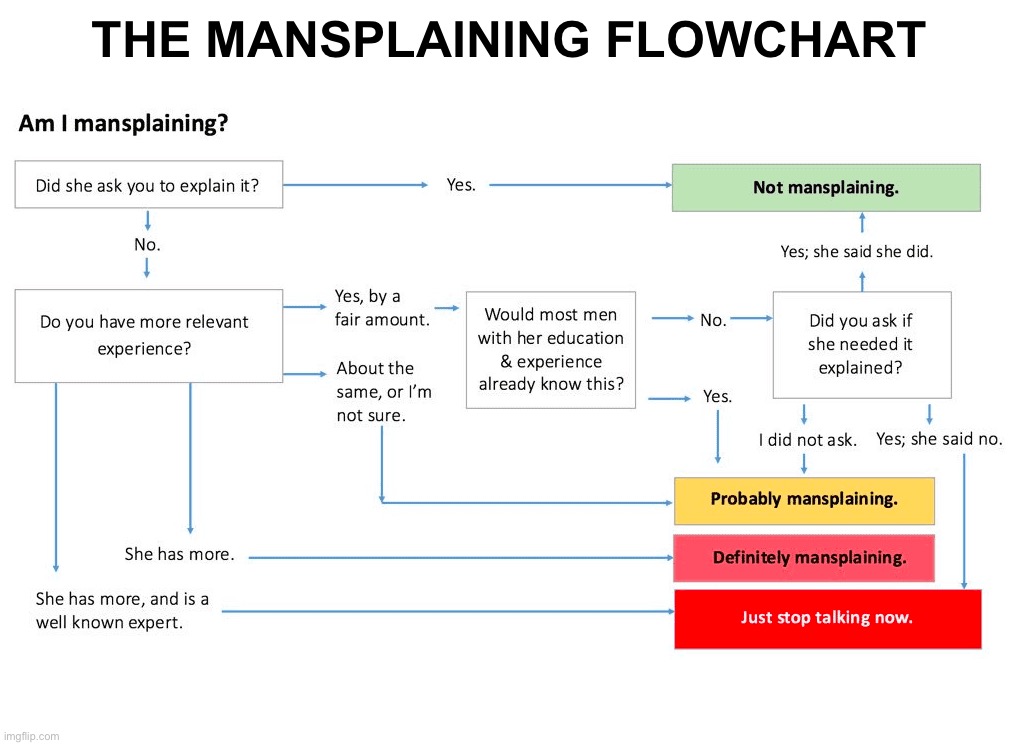 I Should Not Be Laughing…hahaha | THE MANSPLAINING FLOWCHART | image tagged in funny memes,relateable,relationships,mansplaining | made w/ Imgflip meme maker