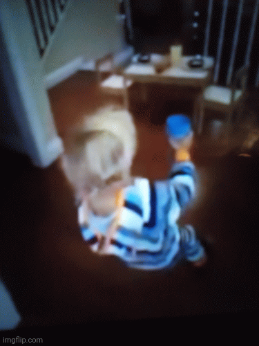 good night | image tagged in gifs,funy memes | made w/ Imgflip images-to-gif maker