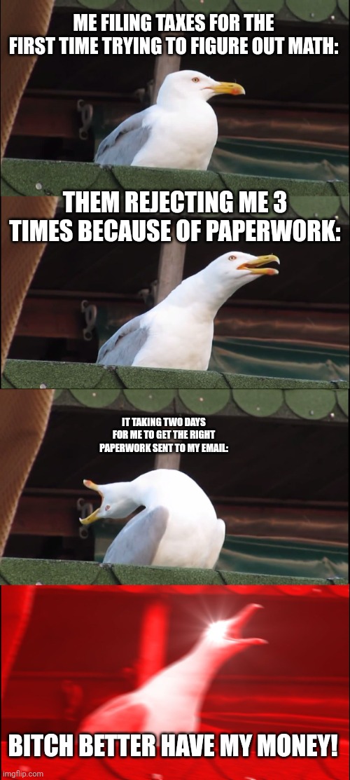 Mf taxes | ME FILING TAXES FOR THE FIRST TIME TRYING TO FIGURE OUT MATH:; THEM REJECTING ME 3 TIMES BECAUSE OF PAPERWORK:; IT TAKING TWO DAYS FOR ME TO GET THE RIGHT PAPERWORK SENT TO MY EMAIL:; BITCH BETTER HAVE MY MONEY! | image tagged in memes,inhaling seagull | made w/ Imgflip meme maker