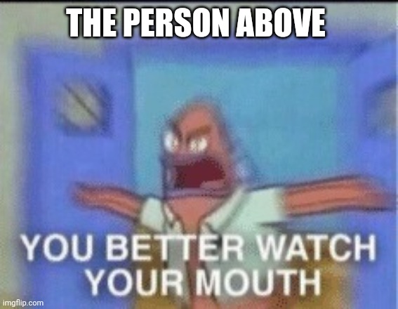 YOU BETTER WATCH YOUR MOUTH single panel | THE PERSON ABOVE | image tagged in you better watch your mouth single panel | made w/ Imgflip meme maker
