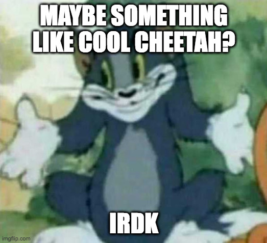 tom i dont know meme | MAYBE SOMETHING LIKE COOL CHEETAH? IRDK | image tagged in tom i dont know meme | made w/ Imgflip meme maker