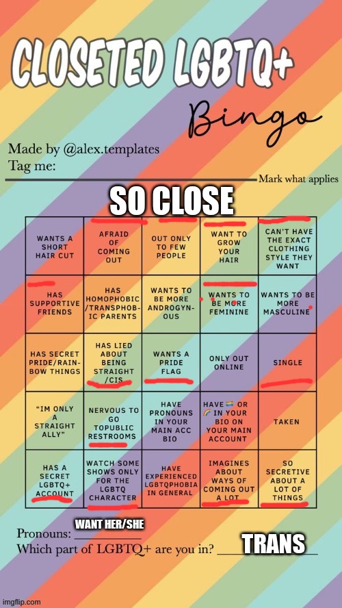 im a gay trans born male want to be female. got any tips? | SO CLOSE; WANT HER/SHE; TRANS | image tagged in closeted lgbtq bingo,lgbtq | made w/ Imgflip meme maker