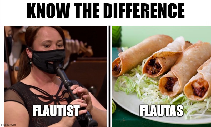 This is so important! | KNOW THE DIFFERENCE; FLAUTIST; FLAUTAS | image tagged in know the difference psychic and side kick,memes,flute,flautas,mexican food,musician | made w/ Imgflip meme maker