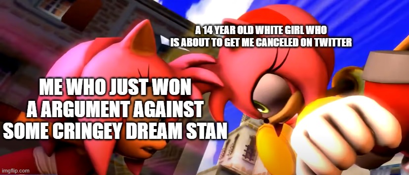 Amy rose vs amy rose | A 14 YEAR OLD WHITE GIRL WHO IS ABOUT TO GET ME CANCELED ON TWITTER; ME WHO JUST WON A ARGUMENT AGAINST SOME CRINGEY DREAM STAN | image tagged in twitter,amy rose | made w/ Imgflip meme maker