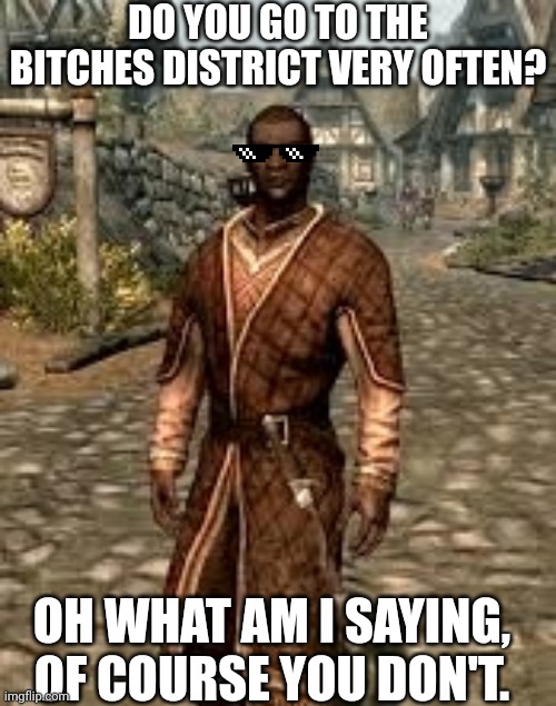 No bitches? |  DO YOU GO TO THE BITCHES DISTRICT VERY OFTEN? OH WHAT AM I SAYING, OF COURSE YOU DON'T. | image tagged in no bitches,memes,skyrim | made w/ Imgflip meme maker