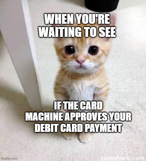 Cute Cat Meme | WHEN YOU'RE WAITING TO SEE; IF THE CARD MACHINE APPROVES YOUR DEBIT CARD PAYMENT | image tagged in memes,cute cat | made w/ Imgflip meme maker