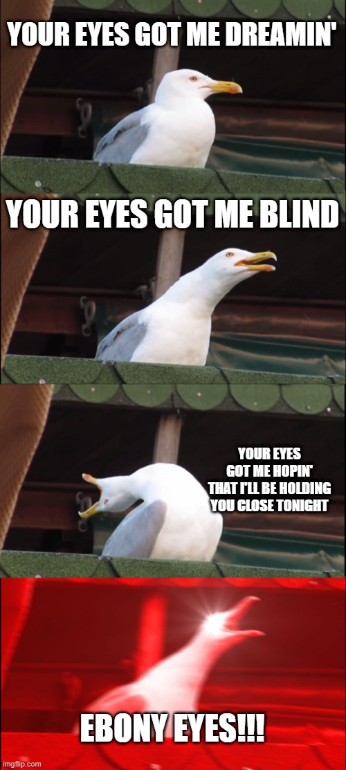 Bob Welch | YOUR EYES GOT ME DREAMIN'; YOUR EYES GOT ME BLIND; YOUR EYES GOT ME HOPIN'
THAT I'LL BE HOLDING YOU CLOSE TONIGHT; EBONY EYES!!! | image tagged in memes,inhaling seagull | made w/ Imgflip meme maker