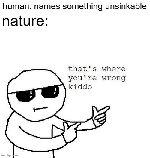 can humanity please stop doing this | nature:; human: names something unsinkable | image tagged in that's where you're wrong kiddo | made w/ Imgflip meme maker
