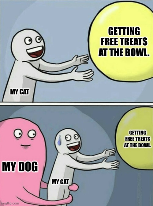 Running Away Balloon Meme | GETTING FREE TREATS AT THE BOWL. MY CAT; GETTING FREE TREATS AT THE BOWL. MY DOG; MY CAT | image tagged in memes,kitty,doggy | made w/ Imgflip meme maker