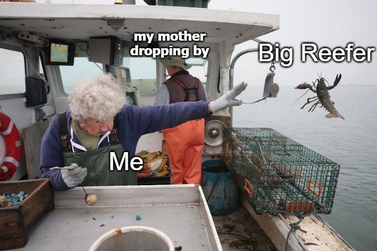 Woman Throws Lobster | my mother dropping by; Big Reefer; Me | image tagged in woman throws lobster | made w/ Imgflip meme maker