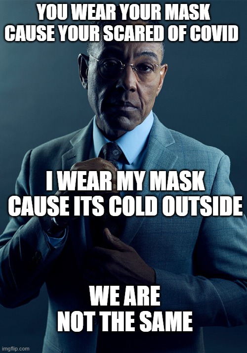 Gus Fring we are not the same | YOU WEAR YOUR MASK CAUSE YOUR SCARED OF COVID; I WEAR MY MASK CAUSE ITS COLD OUTSIDE; WE ARE NOT THE SAME | image tagged in gus fring we are not the same | made w/ Imgflip meme maker