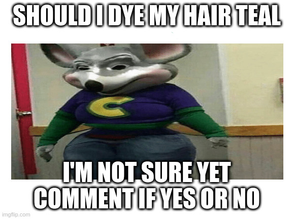 yes or no | SHOULD I DYE MY HAIR TEAL; I'M NOT SURE YET COMMENT IF YES OR NO | image tagged in sus | made w/ Imgflip meme maker
