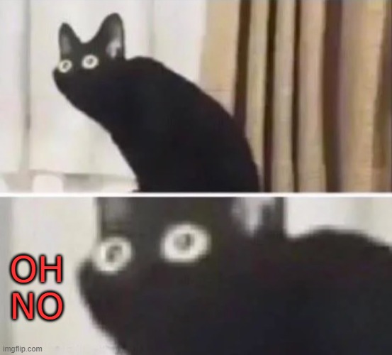 Oh no black cat | OH NO | image tagged in oh no black cat | made w/ Imgflip meme maker