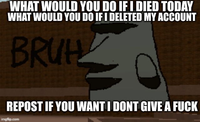Bruh | WHAT WOULD YOU DO IF I DIED TODAY; WHAT WOULD YOU DO IF I DELETED MY ACCOUNT; REPOST IF YOU WANT I DONT GIVE A FUCK | image tagged in bruh | made w/ Imgflip meme maker