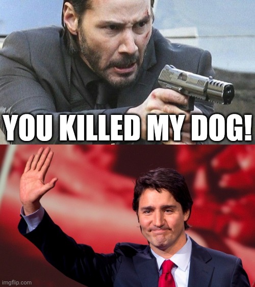 Wrongfully arrested protesters are having their pets sent to kill shelters. | YOU KILLED MY DOG! | image tagged in justin trudeau hand up,john wick,animal abuse,trucker protests,kill shelters | made w/ Imgflip meme maker