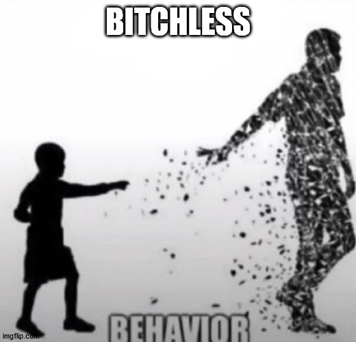 Fatherless Behavior | BITCHLESS | image tagged in fatherless behavior | made w/ Imgflip meme maker