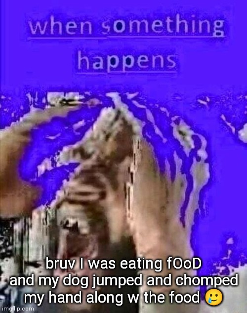 wtf bro I was trying to digest nutritions | bruv I was eating fOoD and my dog jumped and chomped my hand along w the food 🥲 | image tagged in when smth happens | made w/ Imgflip meme maker