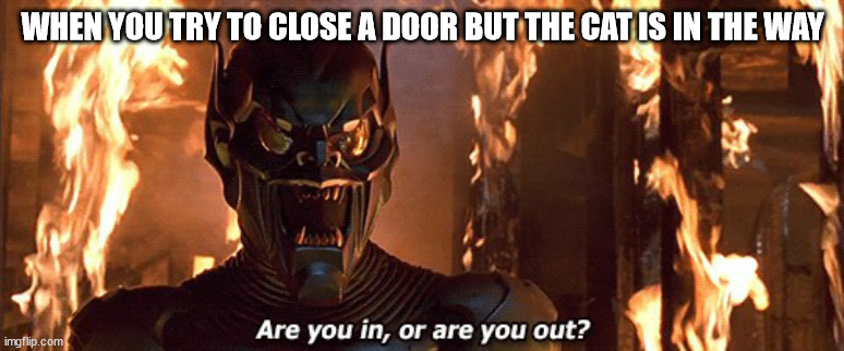 Spider-Man Green Goblin Are you in or are you out? | WHEN YOU TRY TO CLOSE A DOOR BUT THE CAT IS IN THE WAY | image tagged in spider-man green goblin are you in or are you out | made w/ Imgflip meme maker