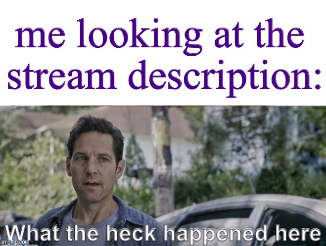 what the friq happened- | me looking at the 
stream description: | image tagged in antman what the heck happened here,wtf | made w/ Imgflip meme maker