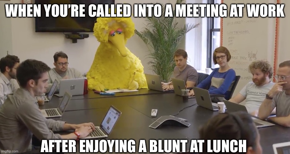 Big Bird is lit | WHEN YOU’RE CALLED INTO A MEETING AT WORK; AFTER ENJOYING A BLUNT AT LUNCH | image tagged in big bird office,blunt,hits blunt,lunch,meeting,at work | made w/ Imgflip meme maker