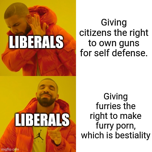 Liberals defending furried are cringe | Giving citizens the right to own guns for self defense. LIBERALS; Giving furries the right to make furry porn, which is bestiality; LIBERALS | image tagged in memes,drake hotline bling,anti furry | made w/ Imgflip meme maker