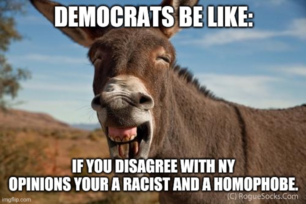 Donkey Jackass Braying | DEMOCRATS BE LIKE: IF YOU DISAGREE WITH NY OPINIONS YOUR A RACIST AND A HOMOPHOBE. | image tagged in donkey jackass braying | made w/ Imgflip meme maker