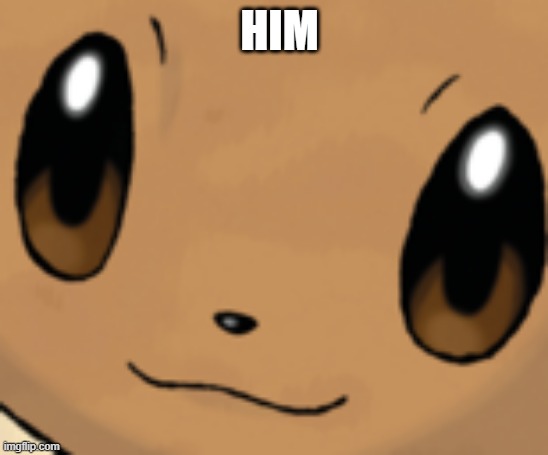 him | HIM | image tagged in eevee face | made w/ Imgflip meme maker