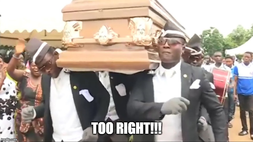 Coffin Dance | TOO RIGHT!!! | image tagged in coffin dance | made w/ Imgflip meme maker