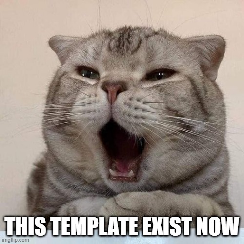 :O | THIS TEMPLATE EXIST NOW | image tagged in memes,funny,cat | made w/ Imgflip meme maker