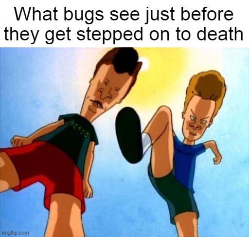 Next is the Slimy Residue | What bugs see just before they get stepped on to death | image tagged in meme,memes,humor,pov,beavis and butthead | made w/ Imgflip meme maker