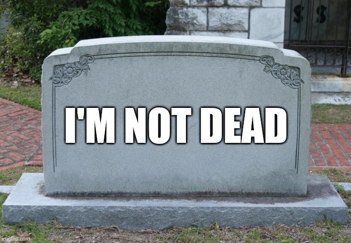 Gravestone | I'M NOT DEAD | image tagged in gravestone | made w/ Imgflip meme maker