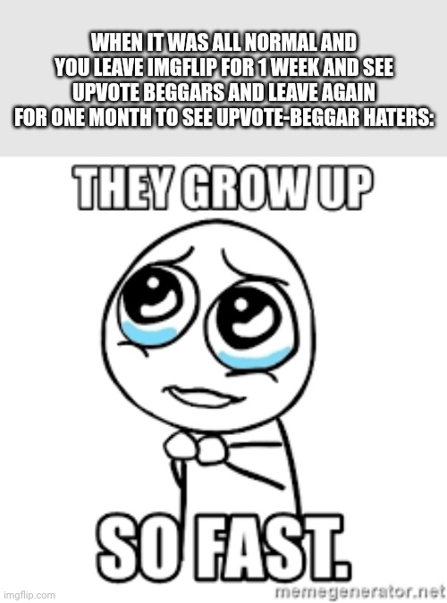 They grow up so fast | WHEN IT WAS ALL NORMAL AND YOU LEAVE IMGFLIP FOR 1 WEEK AND SEE UPVOTE BEGGARS AND LEAVE AGAIN FOR ONE MONTH TO SEE UPVOTE-BEGGAR HATERS: | image tagged in they grow up so fast | made w/ Imgflip meme maker